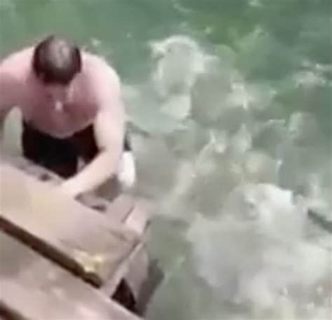 'Piranhas' start CIRCLING terrified swimmer in South America video ...