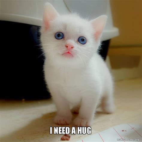 I need a hug | Make a Meme