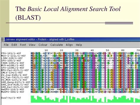 PPT - The Basic Local Alignment Search Tool (BLAST) PowerPoint ...