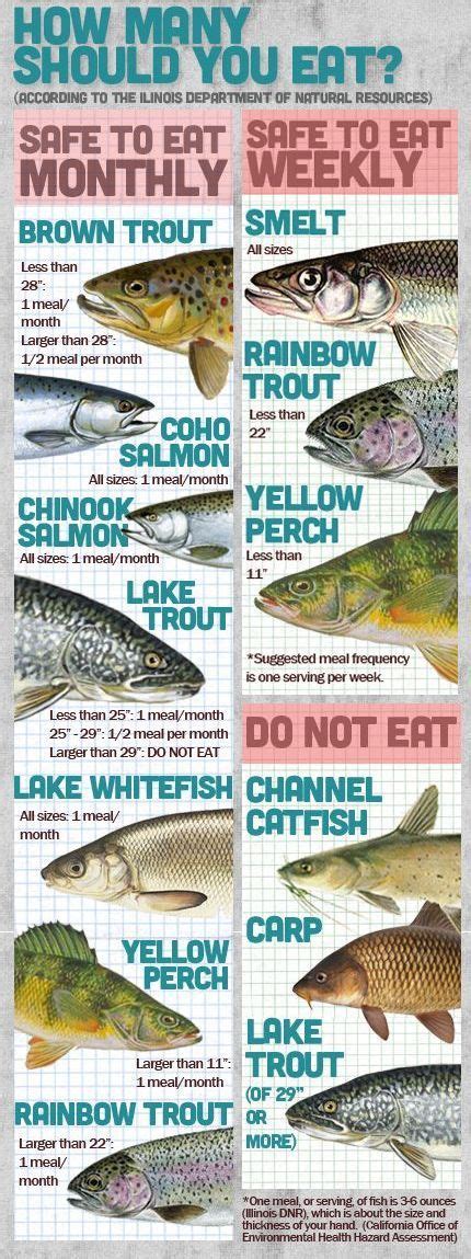 Trout Fishing Tips and Techniques