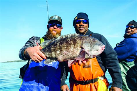 Tautog Fishing State by State - On The Water