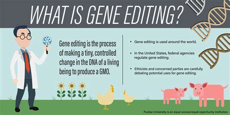 What is gene editing?