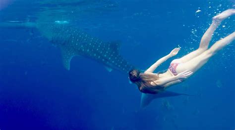 Diving Cebu Whale Sharks | Kids Matttroy