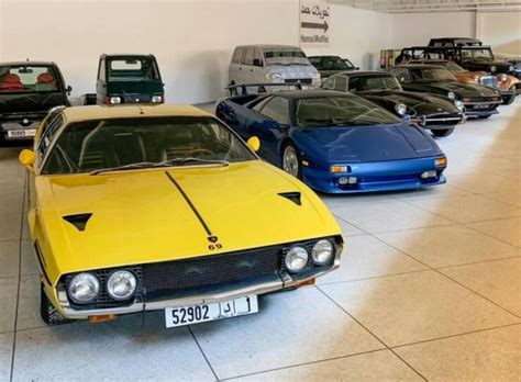 Collection Of Unusual Cars Of The Arab Sheikh Hamad bin Hamdan | Others