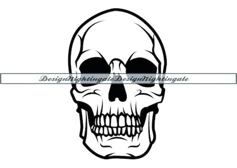 Skull SVG Skull Clipart Skull Files for Cricut Skull Cut - Etsy