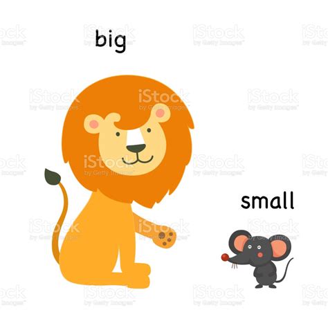 BIGGER / SMALLER | Baamboozle - Baamboozle | The Most Fun Classroom Games!