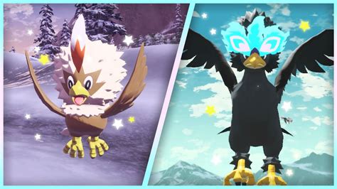 Live Full Odds Shiny Rufflet After 373 Seen + Evolution - Pokémon ...