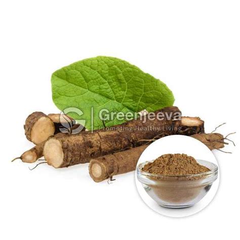 Bulk Organic Burdock Root Powder | Burdock Root Powder Supplier