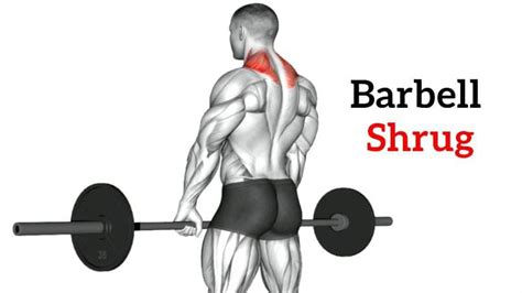 Barbell Shrug: Benefits, Form & Alternate