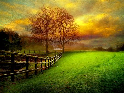 Download Sunset Cloud Sky Fall Tree Country Field Man Made Fence HD ...