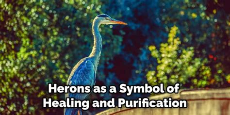 Heron Spiritual Meaning, Symbolism, and Totem Explained (2022)