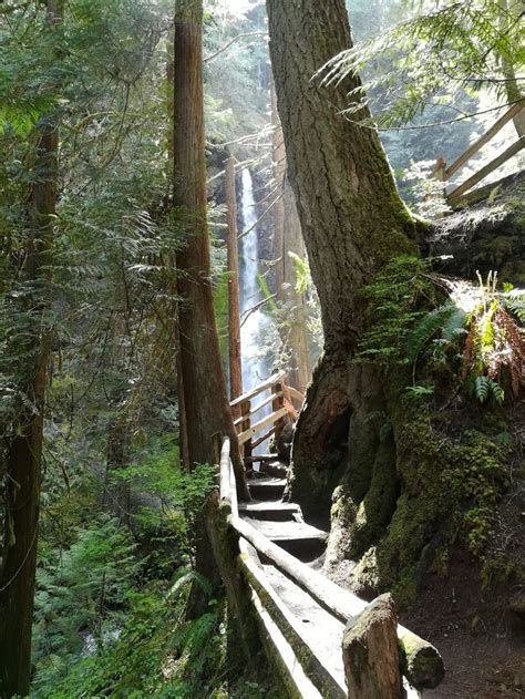 Forks Washington Wallpaper ~ Forks, Washington, Usa Sonnenaufgang ...