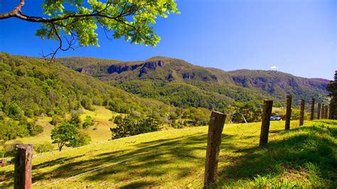 Top 20 Gold Coast Hinterland, QLD, AU houses to rent from £ 42/night | Vrbo