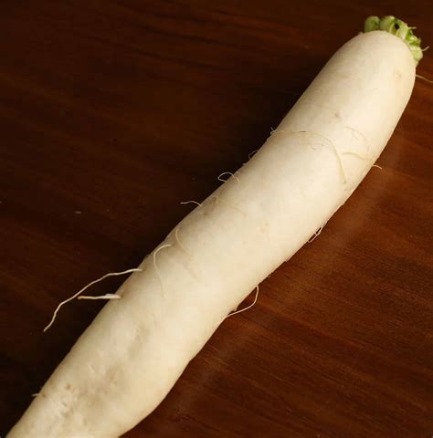 Daikon radish - Korean cooking ingredients - Maangchi.com