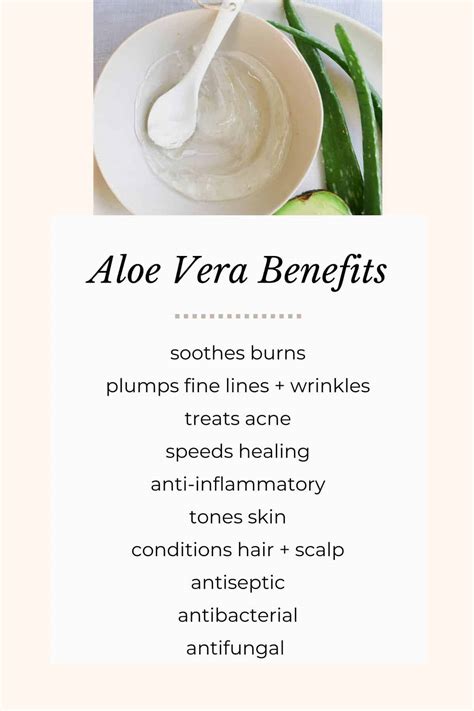 7 Advantages of Aloe Vera for Pores and skin (+ 15 Methods to Use It ...