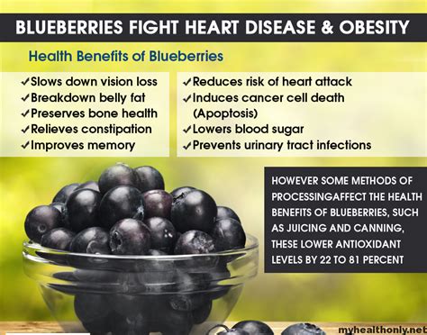 8 Incredible Health Benefits of Blueberries - My Health Only