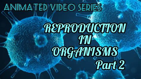 Reproduction In Organisms Part 2 | Class 12 Biology Animated Video ...