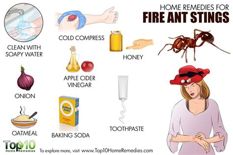 Home Remedies for Fire Ant Stings | Top 10 Home Remedies