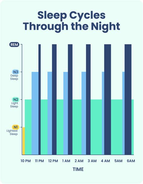 Stages of Sleep: What Happens in a Sleep Cycle | Sleep Foundation