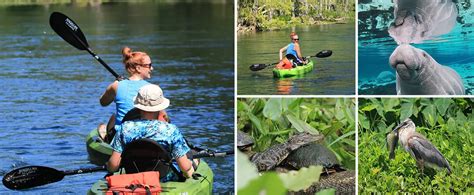 Silver Springs and Wildlife Small-Group Guided Kayak Tour