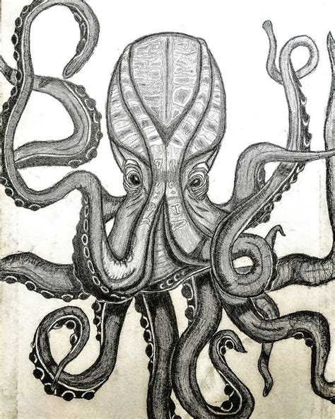 Octopus Drawing | ubicaciondepersonas.cdmx.gob.mx