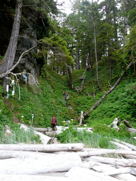 the hikers are walking through the forest