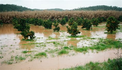 Positive Effects of Floods | Sciencing