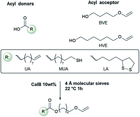 Novel sustainable synthesis of vinyl ether ester building blocks ...