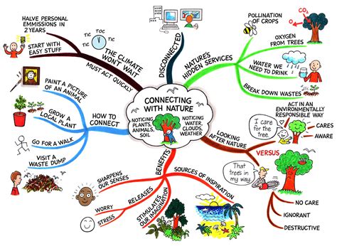 Nature Connections @ Mind Map Art