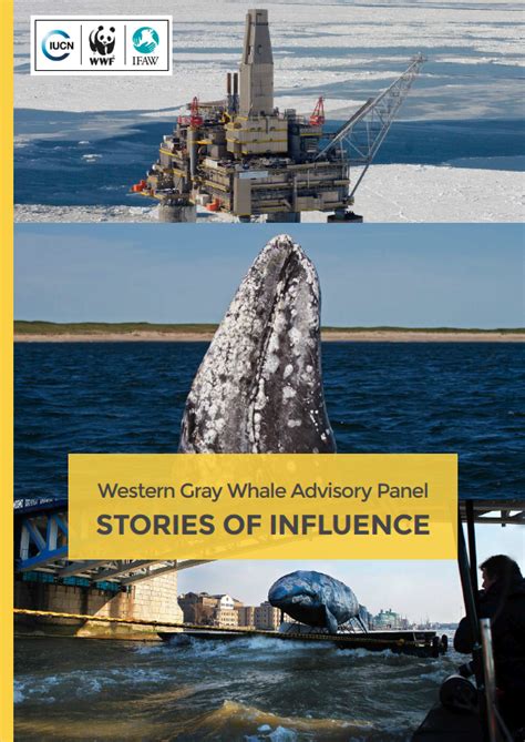 Western Gray Whale Advisory Panel: Stories of Influence (2016) — WWF ...