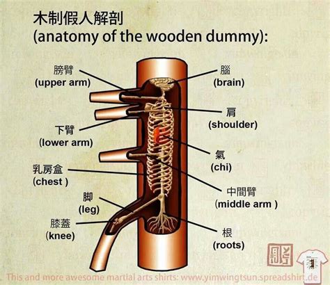 Anatomy of the wooden dummy | Wing chun martial arts, Martial arts ...