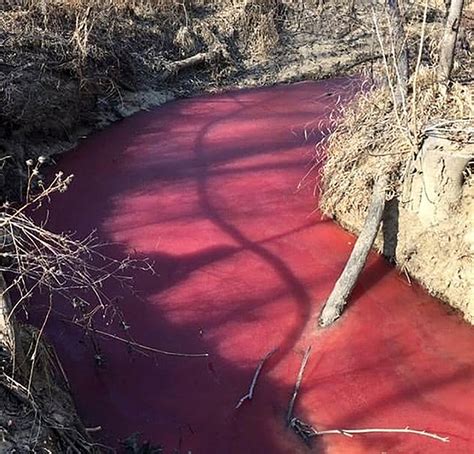 Blood River: what caused this shocking scene?