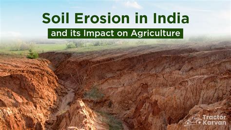 Soil erosion in India and its impact on agriculture