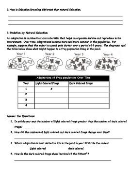 Evolution By Natural Selection Worksheet Answers : Evidences For ...