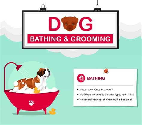 Professional Dog Grooming Tips