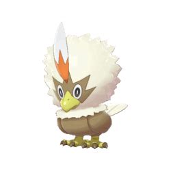 Pokemon Sword and Shield Rufflet | Locations, Moves, Weaknesses