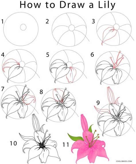 Flower Drawing Tutorials - Step by Step Instructions