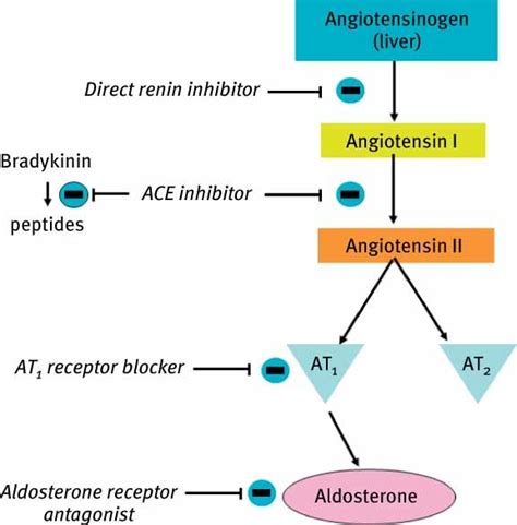 Renin Inhibitors in Chronic Heart Failure: The Aliskiren Observation of ...