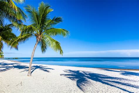 10 Best Beaches in the Florida Keys | PlanetWare (2022)