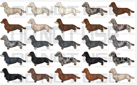 Daschund color palette | Mascotas, Animalitos en porcelana fria ...