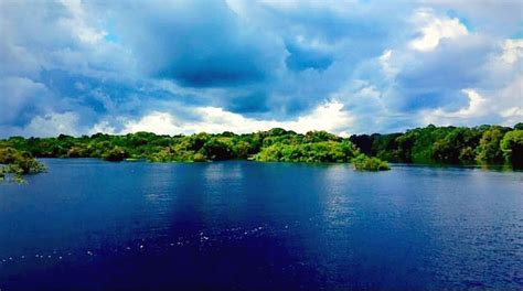 Parc national de Jaú : Amazonas - Visites & Activités | Expedia.fr