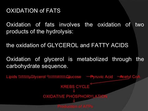 Metabolism of Fats