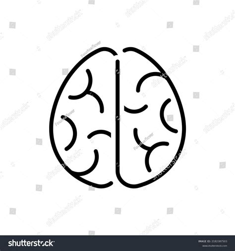 Full Vector Outline Brain Icon Stock Vector (Royalty Free) 2182387503 ...