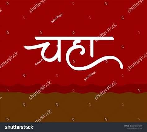 Chaha Marathi Hindi Calligraphy Chahs Meaning Stock Vector (Royalty ...