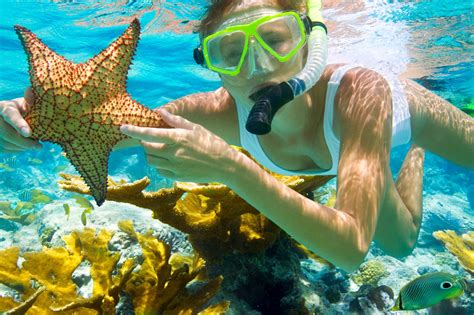 Fondos de pantalla : Deportes, máscara, submarino, Arrecife de coral ...