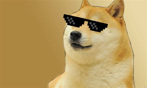 76 Doge Meme Anjing Shiba Inu