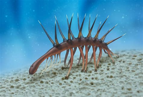 The alien world of the Burgess Shale | Earth Archives