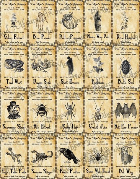 Witch Apothecary Labels, Halloween Labels, Potion Ingredient Labels ...