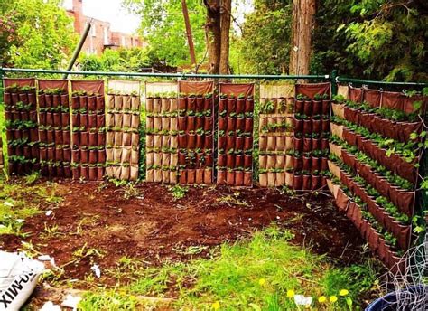 280 strawberry plants in this vertical garden set up. : gardening