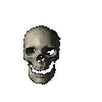 Skull Spinning Sticker for iOS & Android | GIPHY